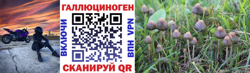 Псилоцибиновые грибы Cubensis  Воронеж 